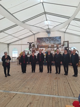 Tuhinjska dolina spet polna cvetja iz krep papirja (15)